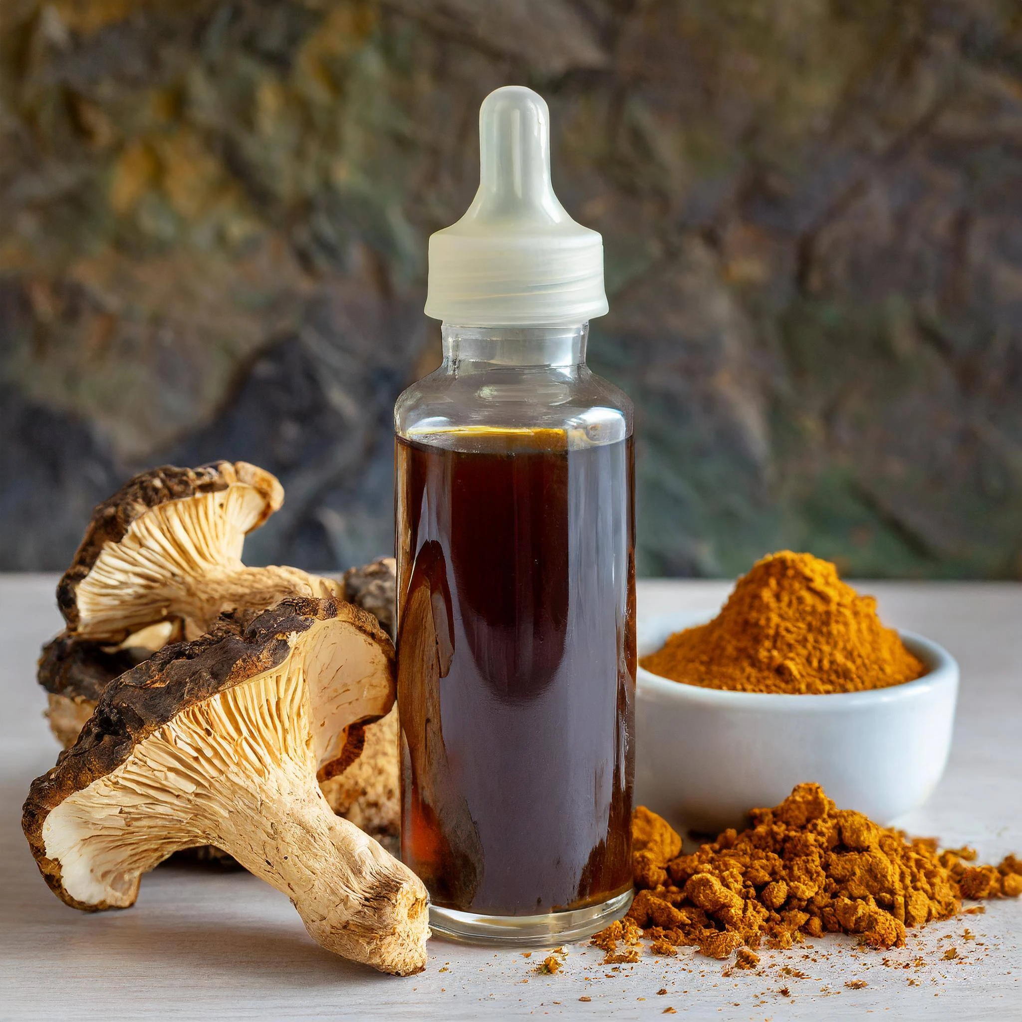 Extrato de Cogumelo