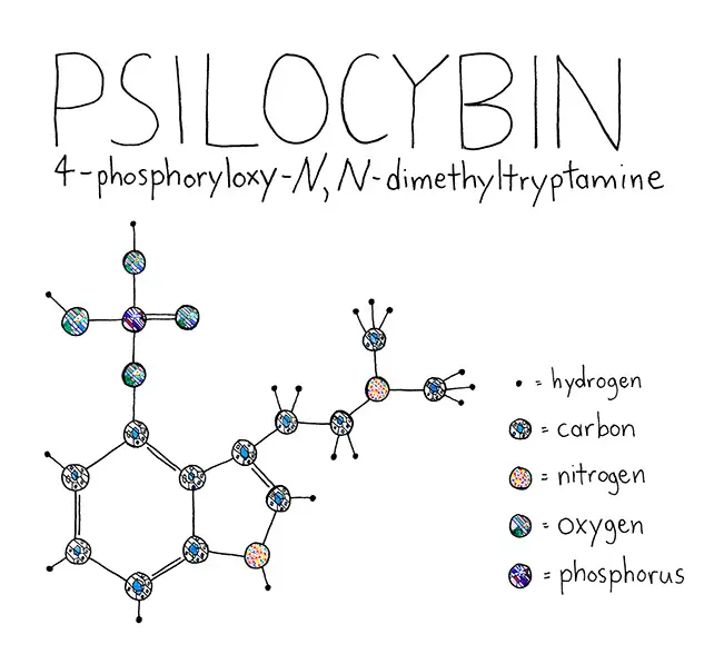 O Renascimento dos psicodélicos LSD e Cogumelo Mágico